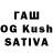Псилоцибиновые грибы GOLDEN TEACHER Den_Go