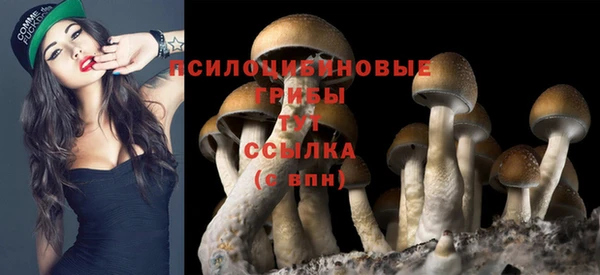 mdpv Алзамай