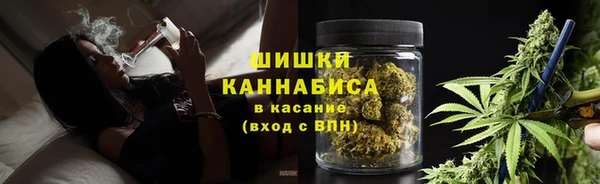прущие грибы Абаза