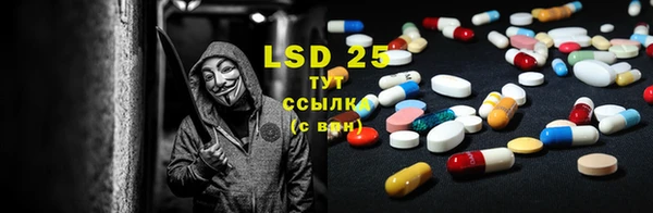 прущие грибы Абаза