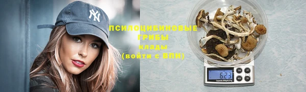 мет Абинск
