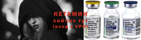 прущие грибы Абаза