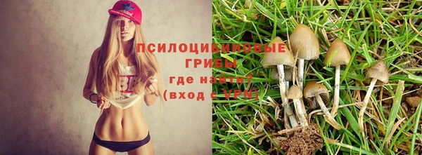 mdpv Алзамай