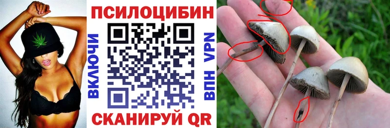 Псилоцибиновые грибы ЛСД  Ангарск 